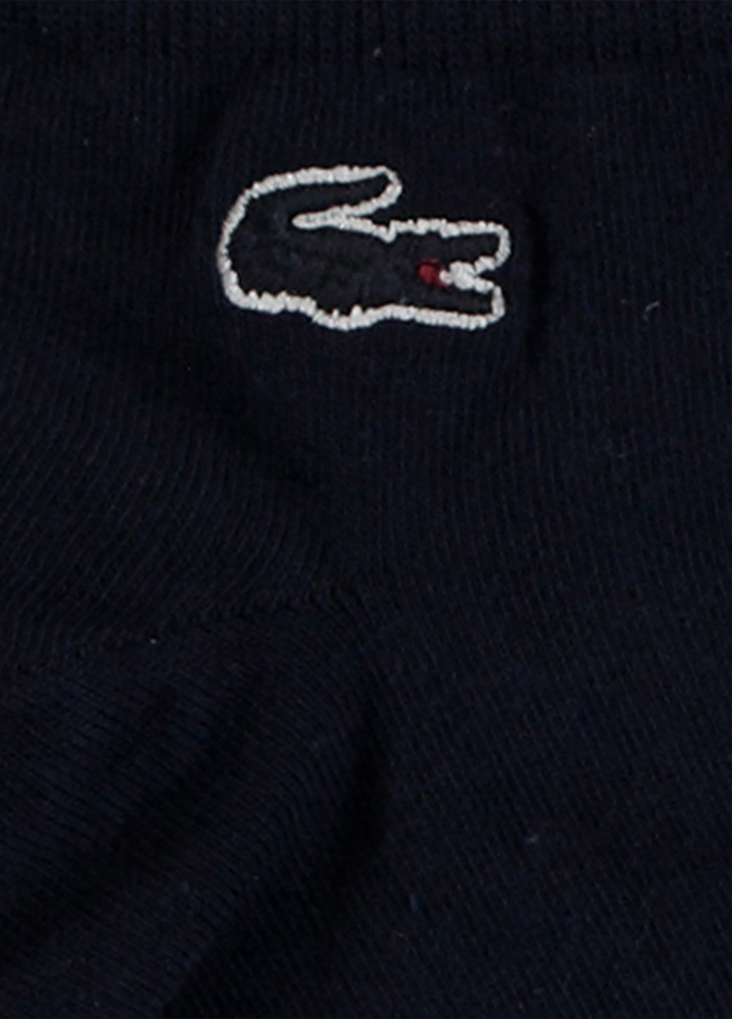 Темно-сині шкарпетки Lacoste логотипи (329058446)