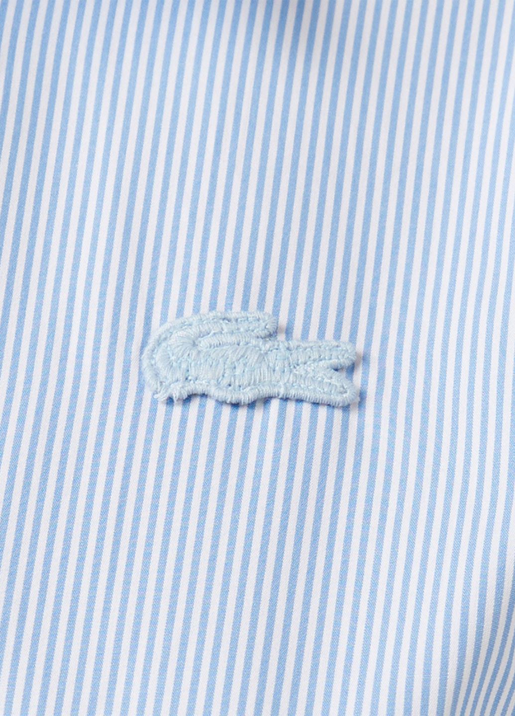 Сорочка Lacoste (363619912)