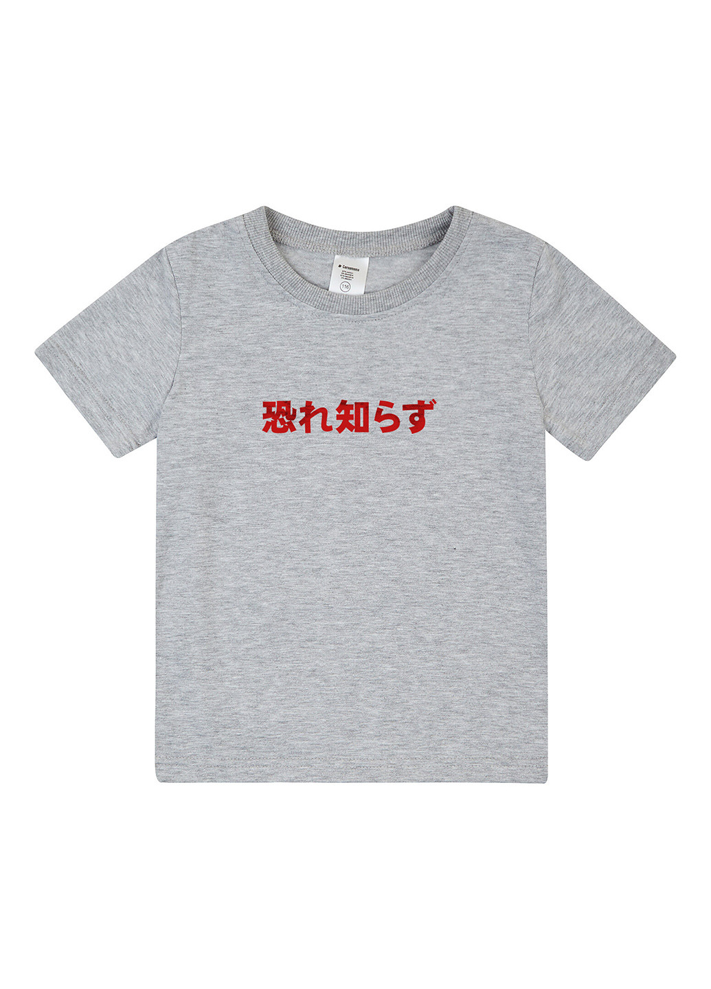 Сіра демісезонна футболка Garnamama