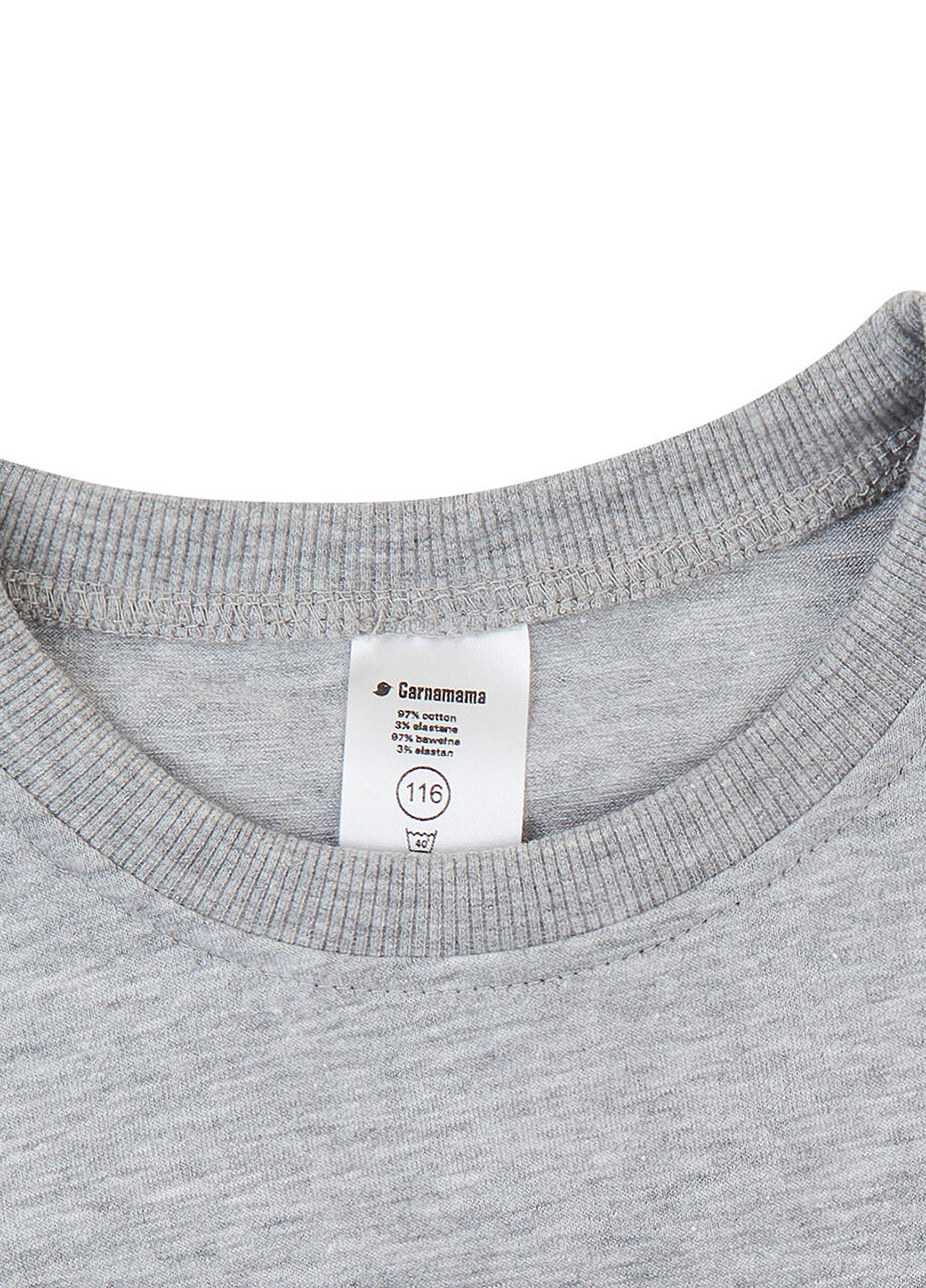 Сіра демісезонна футболка Garnamama