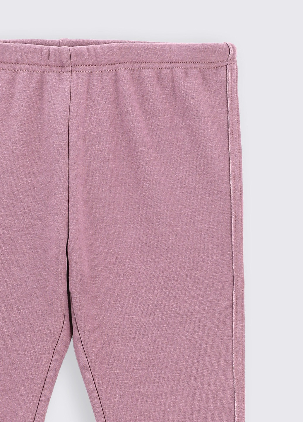 Фиолетовые зимние леггинсы Coccodrillo