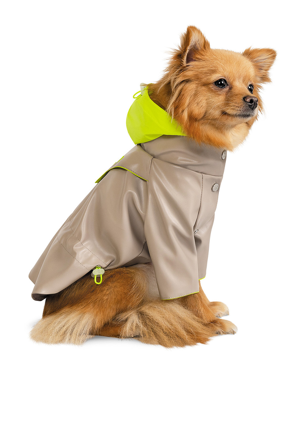 Вітрівка Pet Fashion (252598893)
