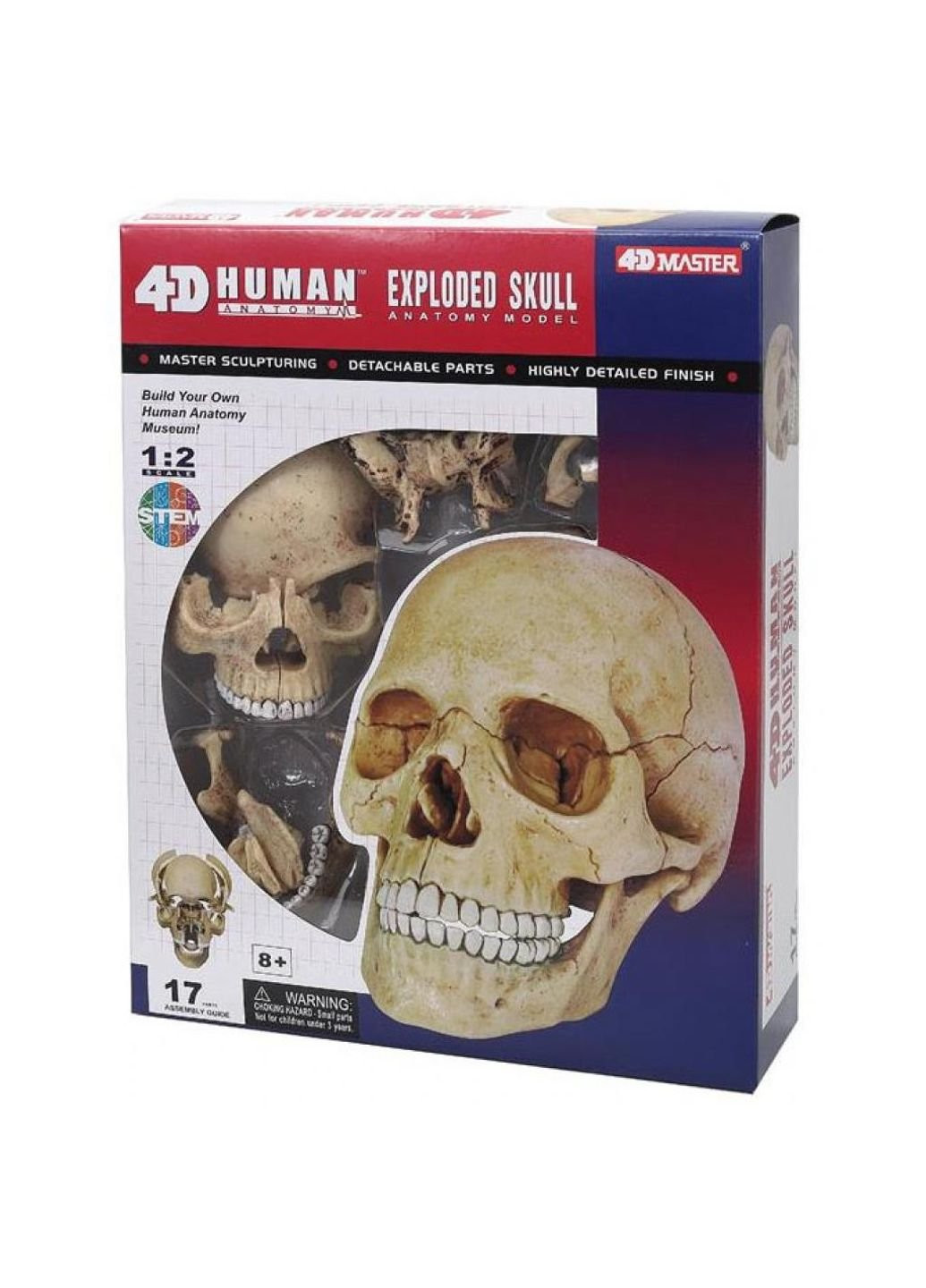 Пазл Объемная анатомическая модель Череп человека (FM-626111) 4D Master (249984301)