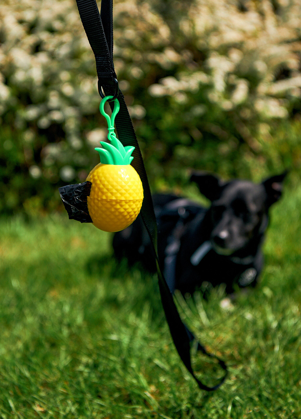 Держатель с гигиеническими пакетами для собак, 6,7x10 см Sinsay (317207125)