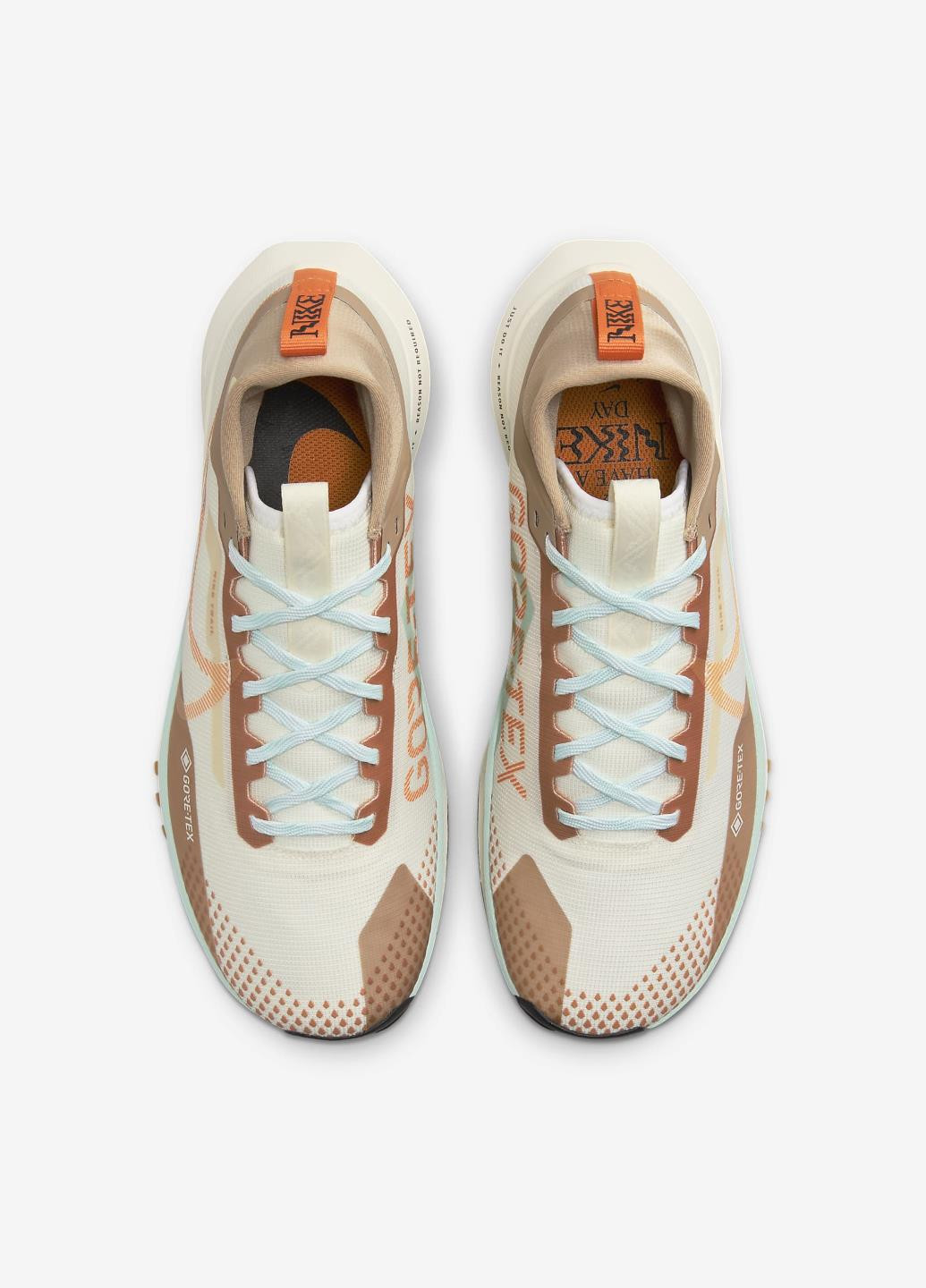 Цветные демисезонные кроссовки fn8886-181 Nike Pegasus Trail 4 GORE-TEX