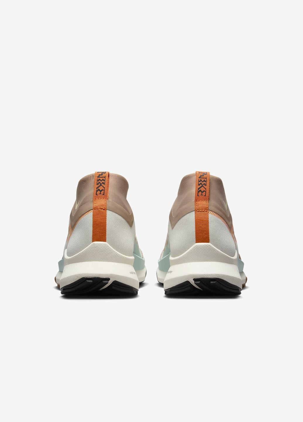 Цветные демисезонные кроссовки fn8886-181 Nike Pegasus Trail 4 GORE-TEX