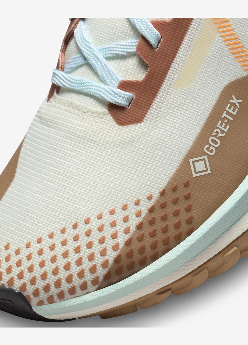 Цветные демисезонные кроссовки fn8886-181 Nike Pegasus Trail 4 GORE-TEX