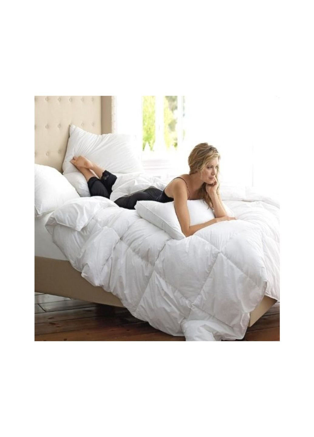 Одеяло пуховое Raffaello 053 зима+ 200x220 см (2200000018168) Mirson (254079585)