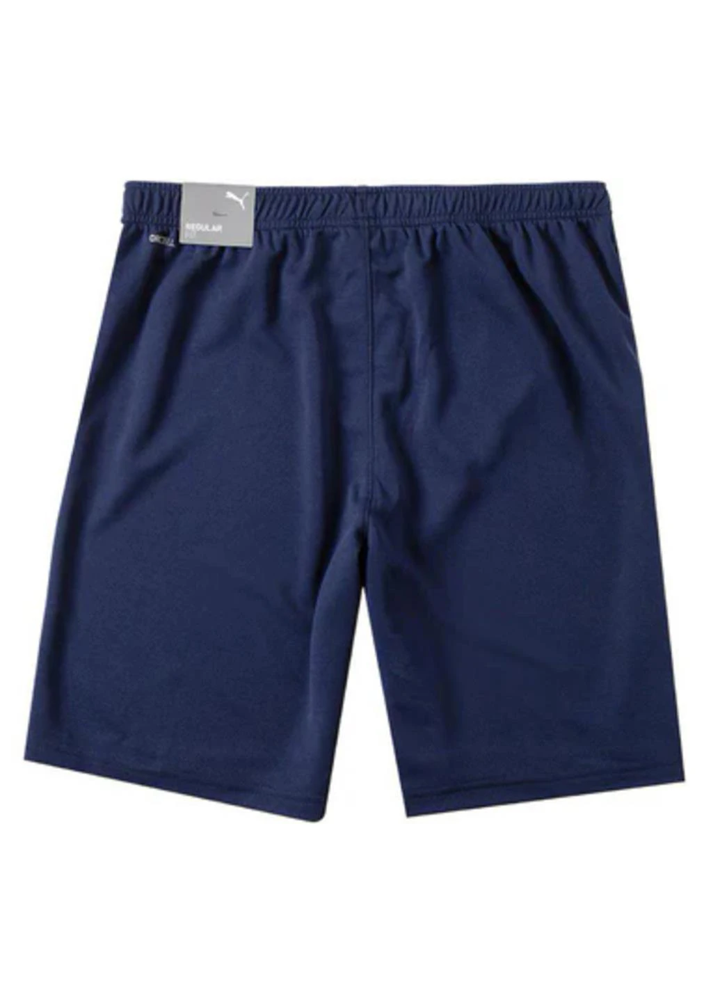 Шорты 704942-06 Puma teamRISE Short (328031939)