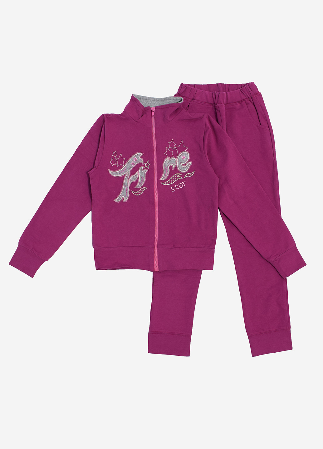 Фиолетовый демисезонный костюм (толстовка, брюки) брючный Фламинго