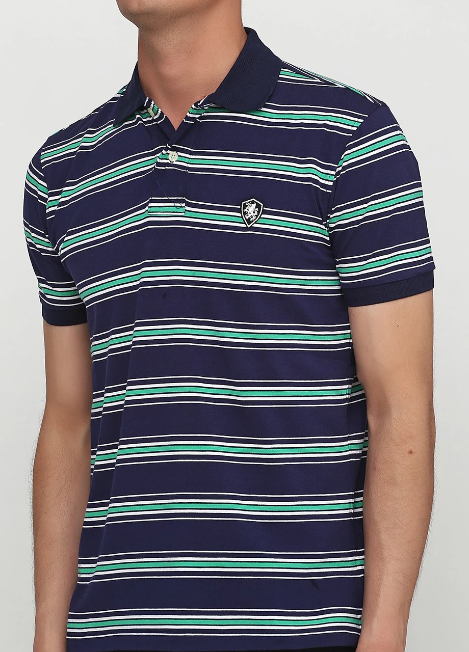 Цветная футболка-поло мужское для мужчин Tommy Hilfiger в полоску