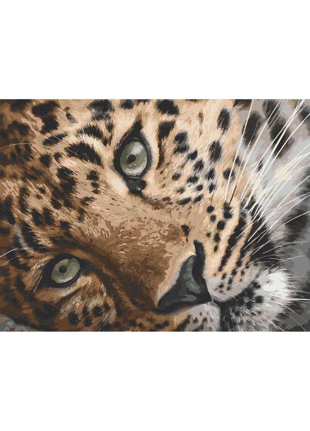 Картина за номерами "Леопард" 40х50 см 11635-AC Art Craft (231778377)