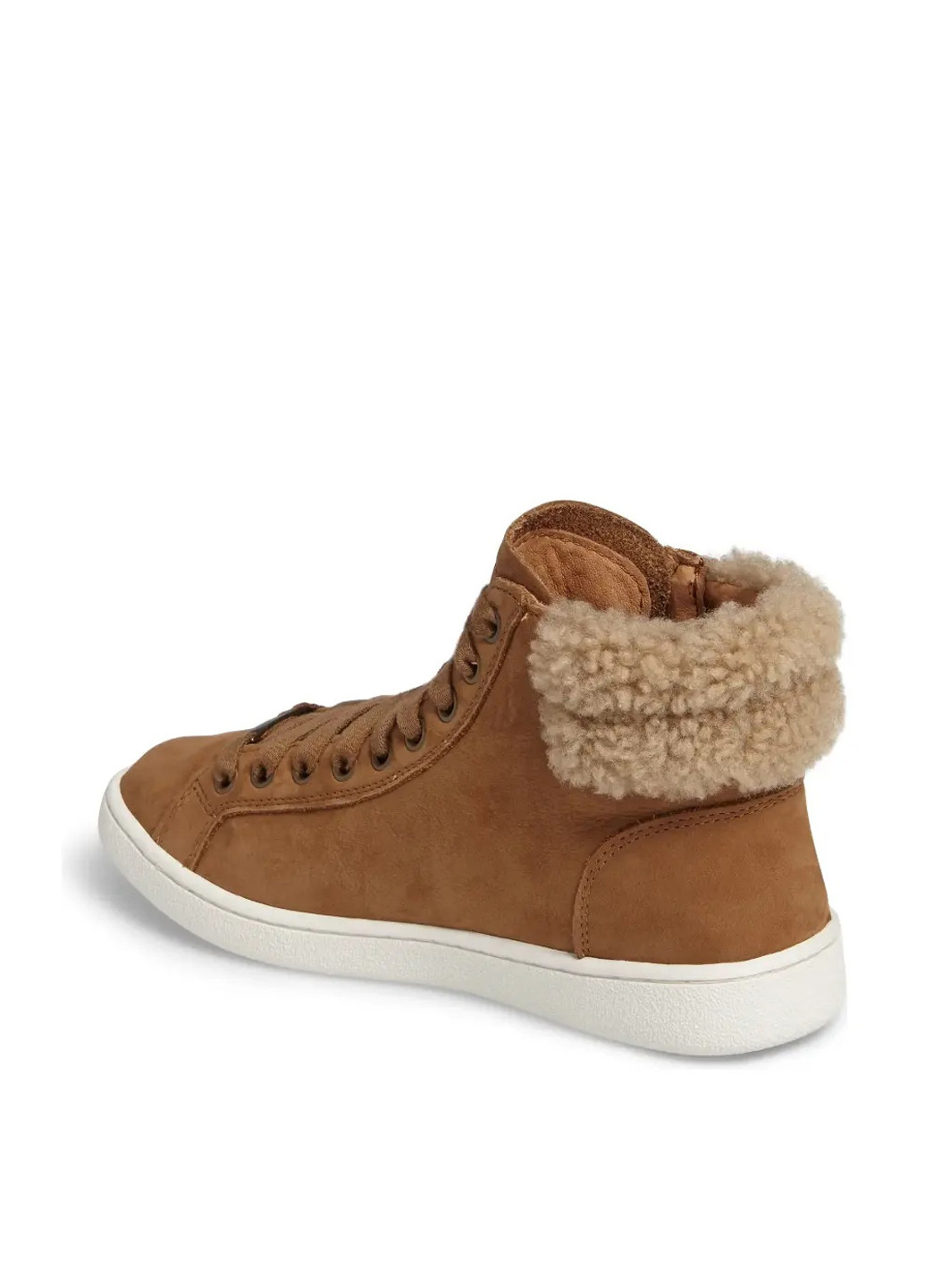 Черевики UGG (299193568)