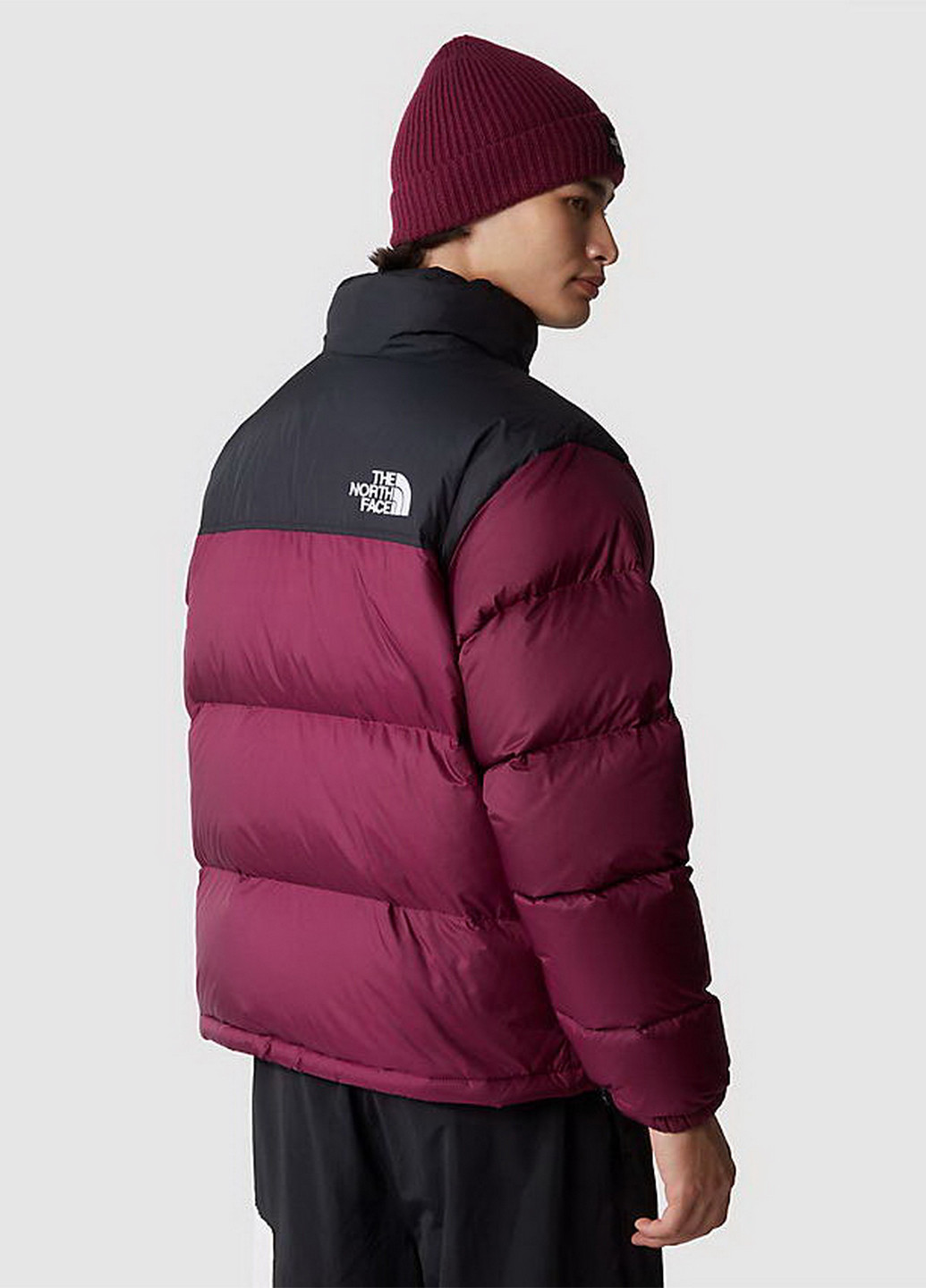 Фіолетова зимня куртка The North Face NF0A3C8DKK91