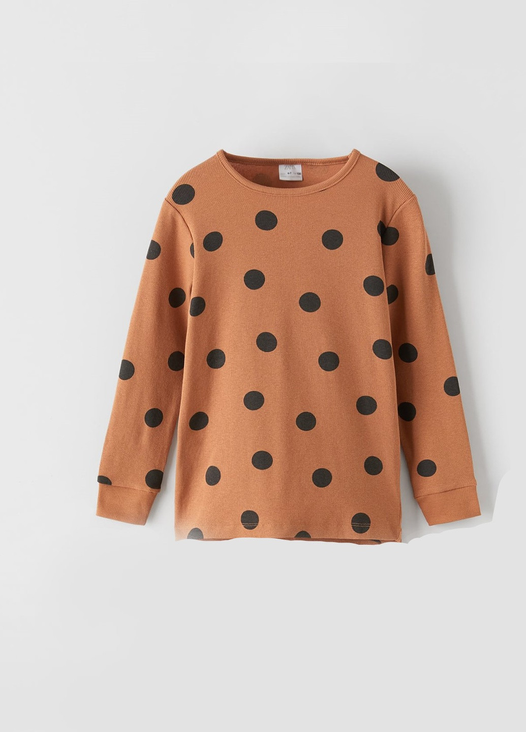 Коричнева всесезон жіночий лонгслів Zara