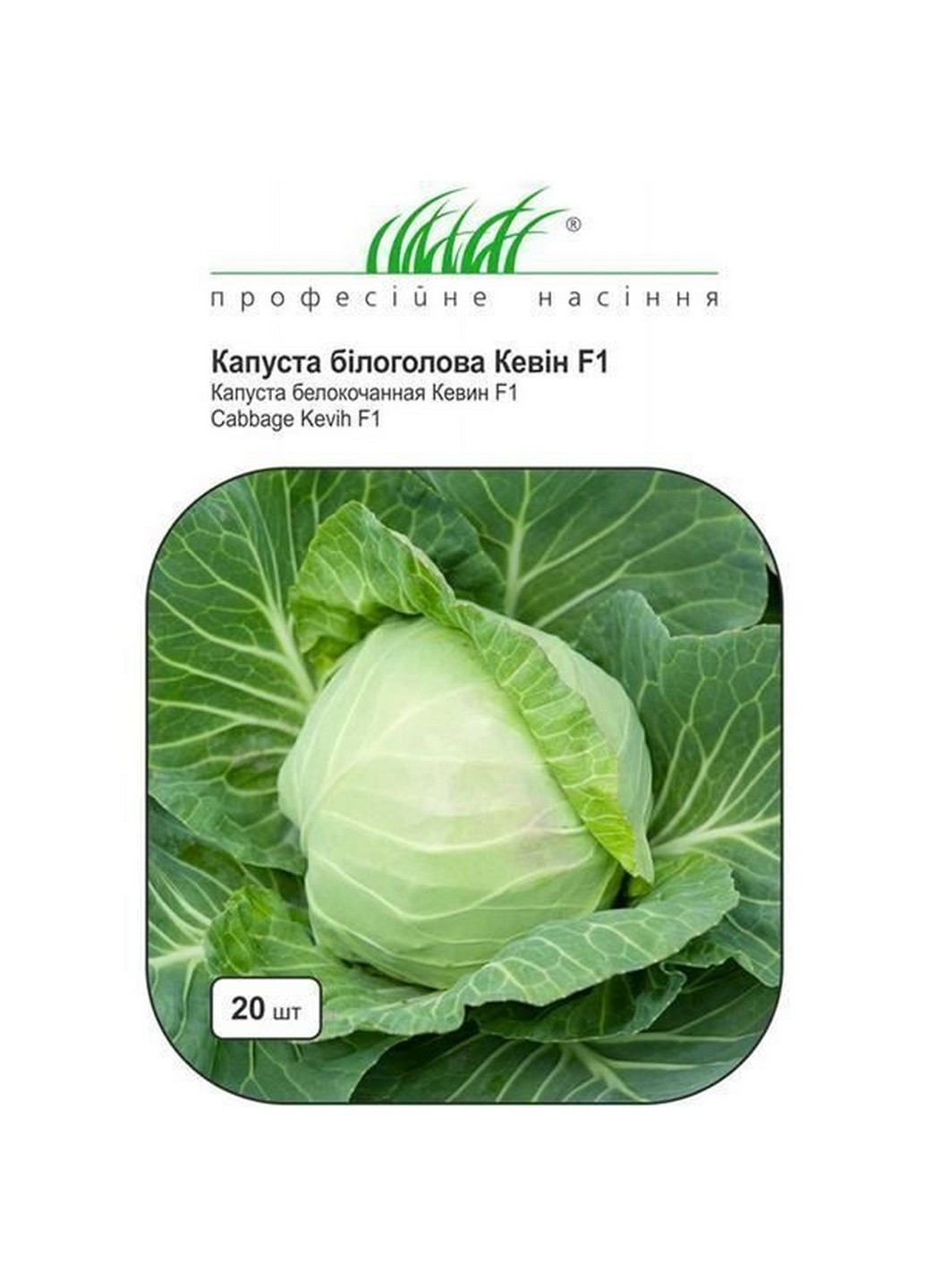 Насіння Капуста білоголова Кевін F1 20 шт Професійне насіння (216036252)