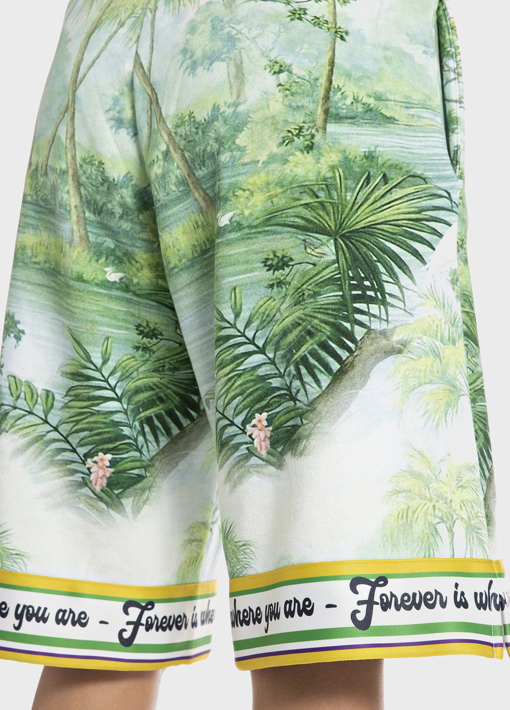 Шорти Replay (306993312)