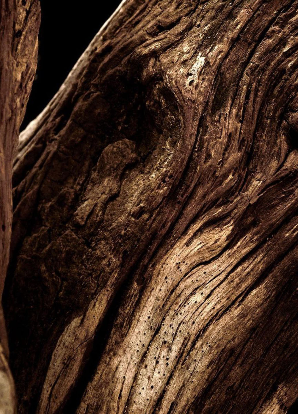 Мист, 75 мл Victoria's Secret (252882421)