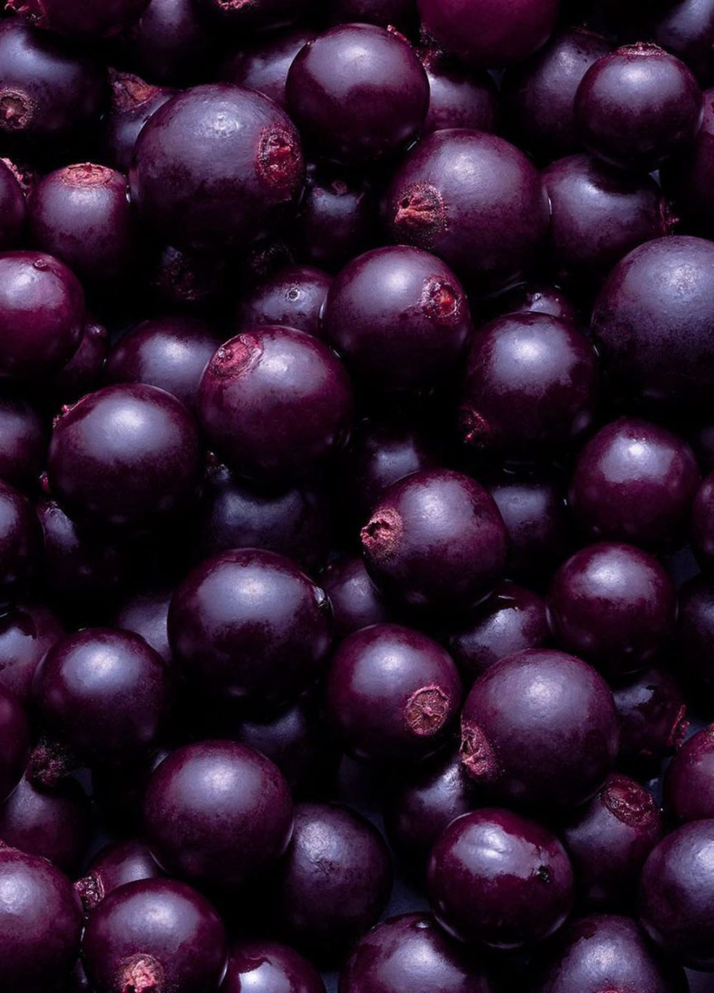 Мист, 75 мл Victoria's Secret (252882421)