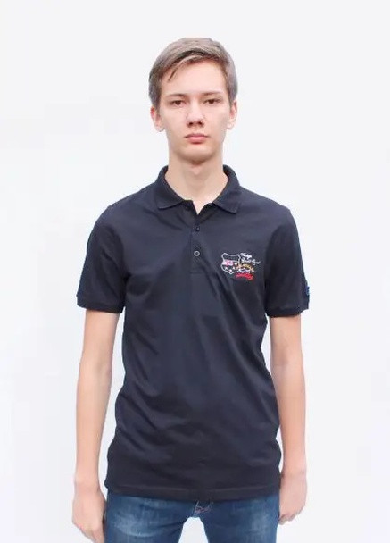 Поло чоловіче Paul & Shark (253625501)