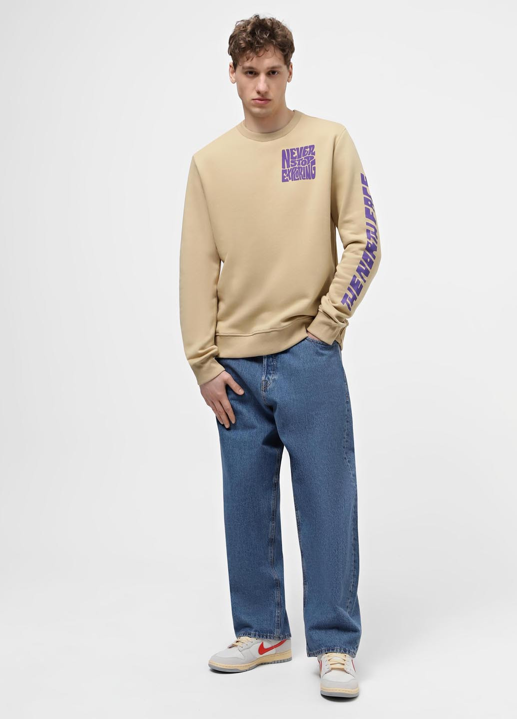 Бежевий світшот The North Face напис без декору (330361450)