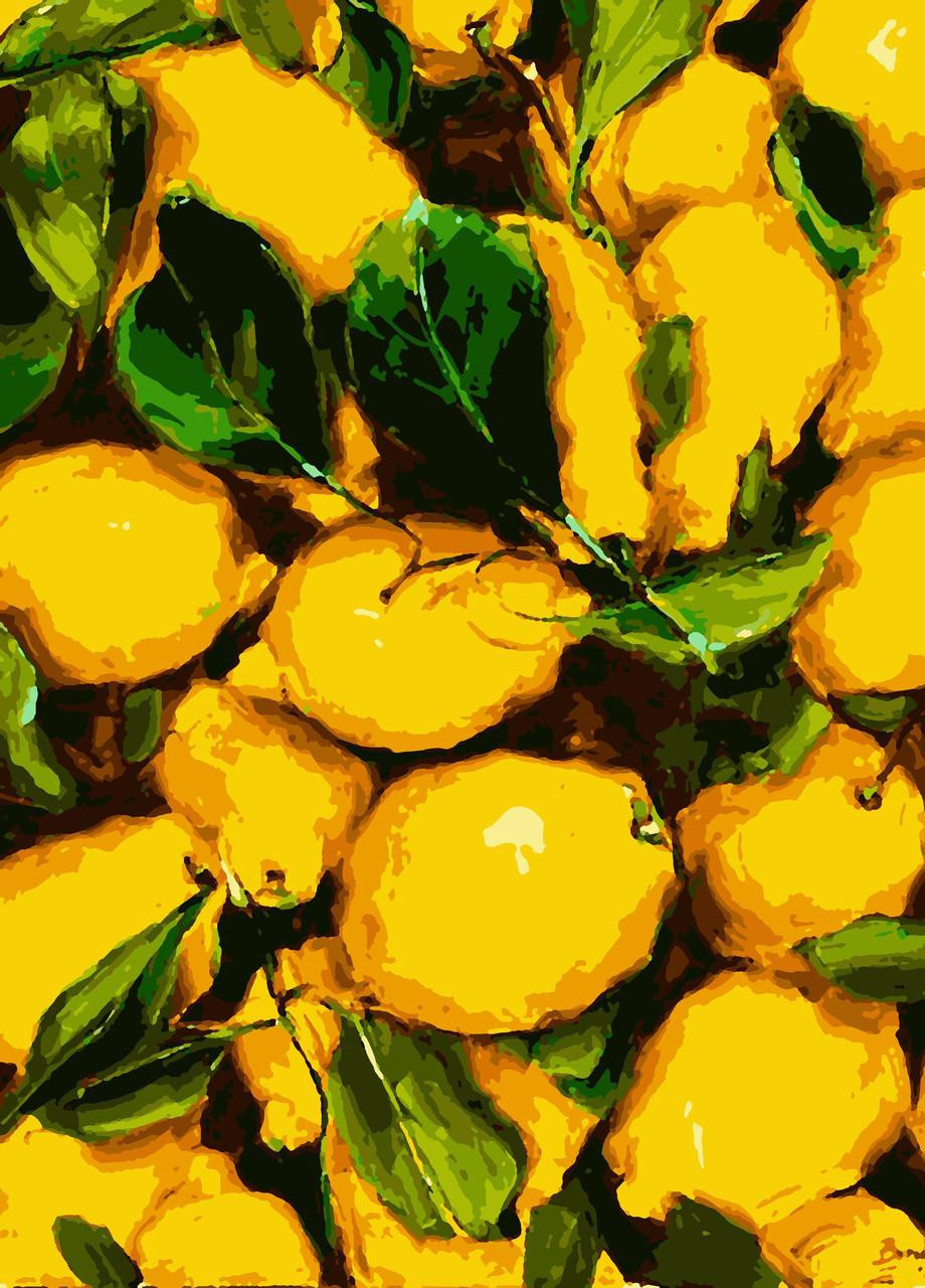 Картин по номерам "Сочне лимон" 40*50см No Brand (254583936)