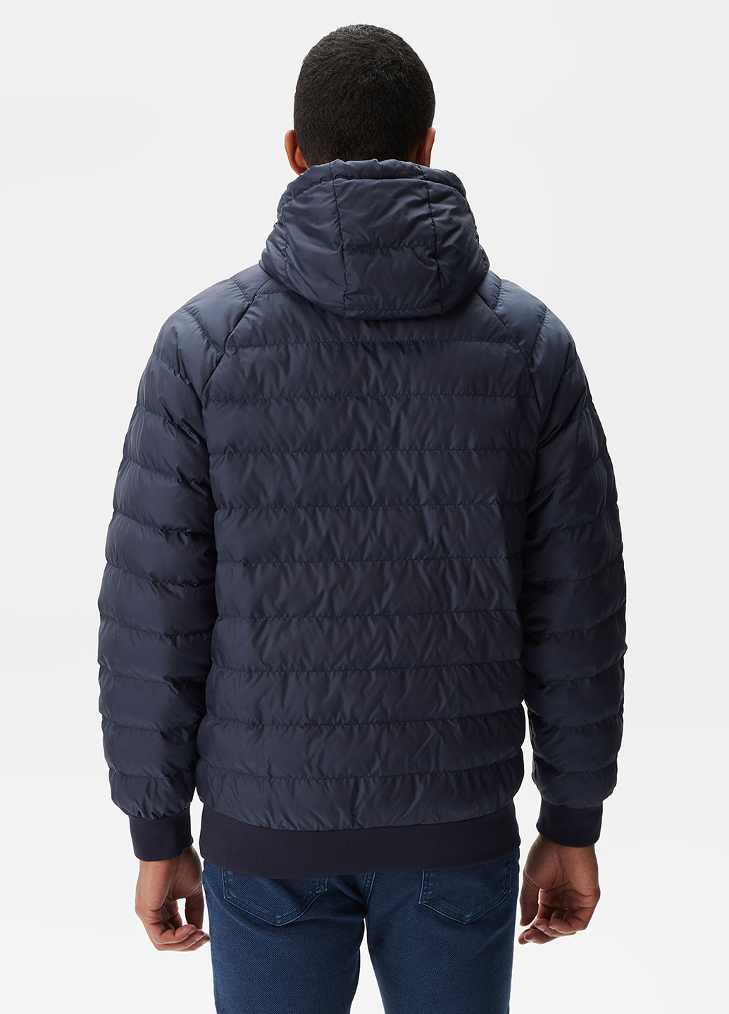 Темно-синя демісезонна куртка Lacoste