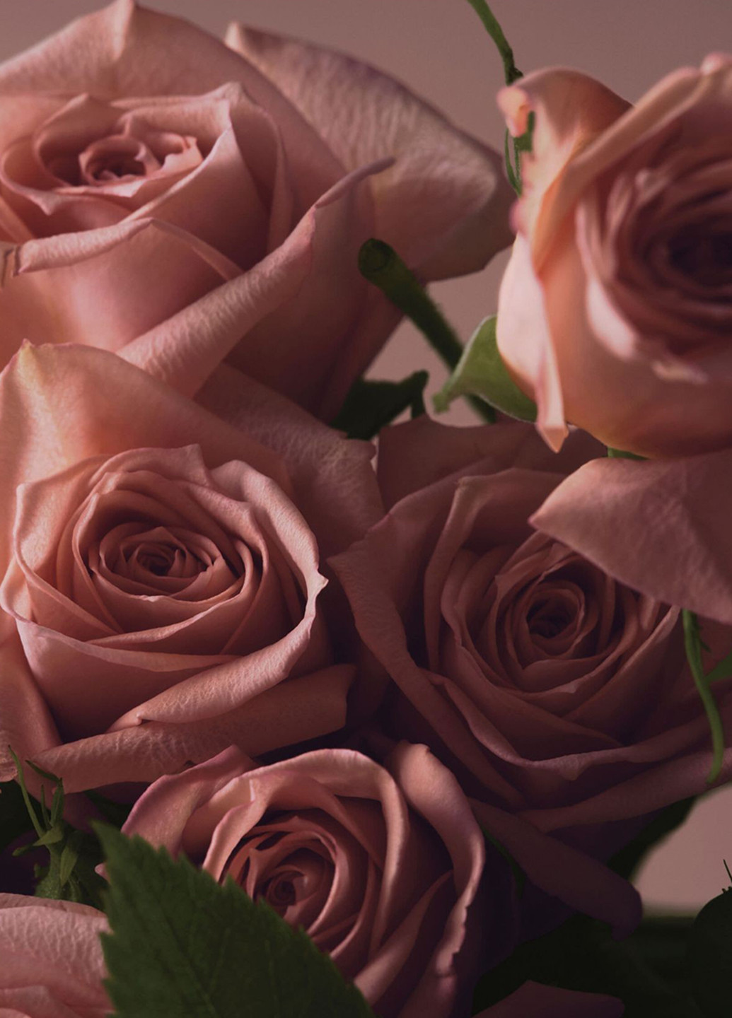 Набір Bare Rose (лосьон, міст) Victoria's Secret (321974727)