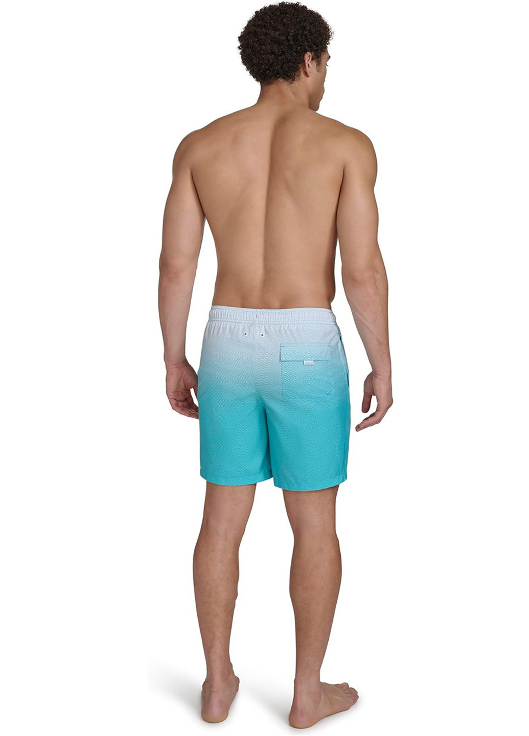 Шорты Calvin Klein (362140249)