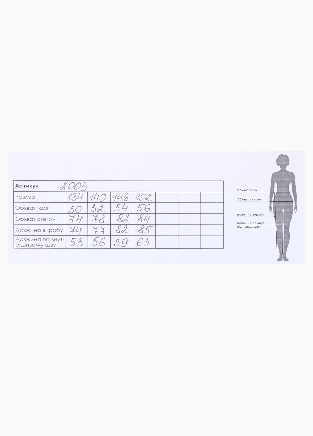Спортивні штани Atescan (254063709)