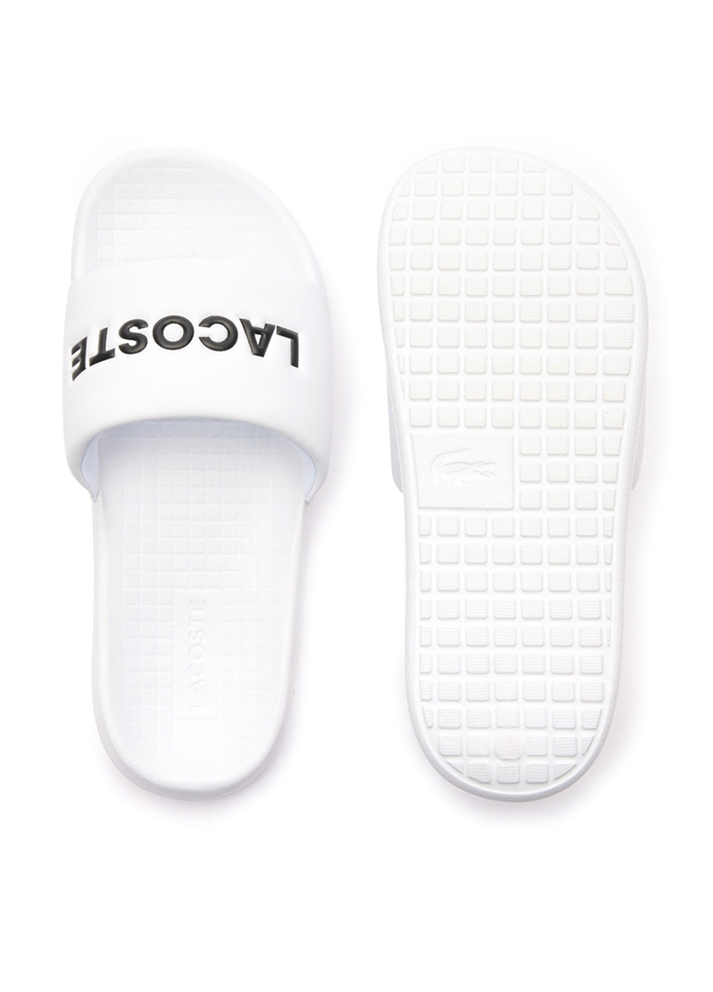 Шльопанці Lacoste (298073486)