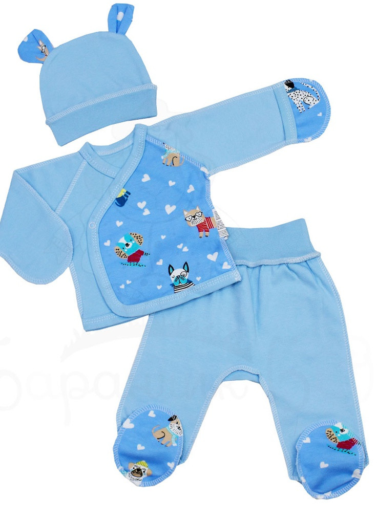 Голубой демисезонный набор в роддом для новорожденного Баранчик БО