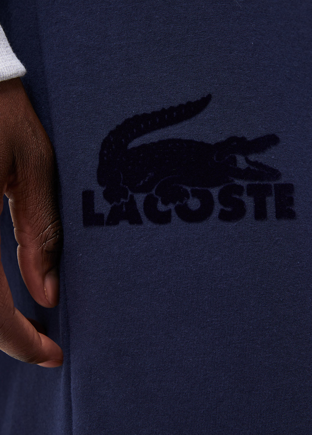Шорты Lacoste (329694550)