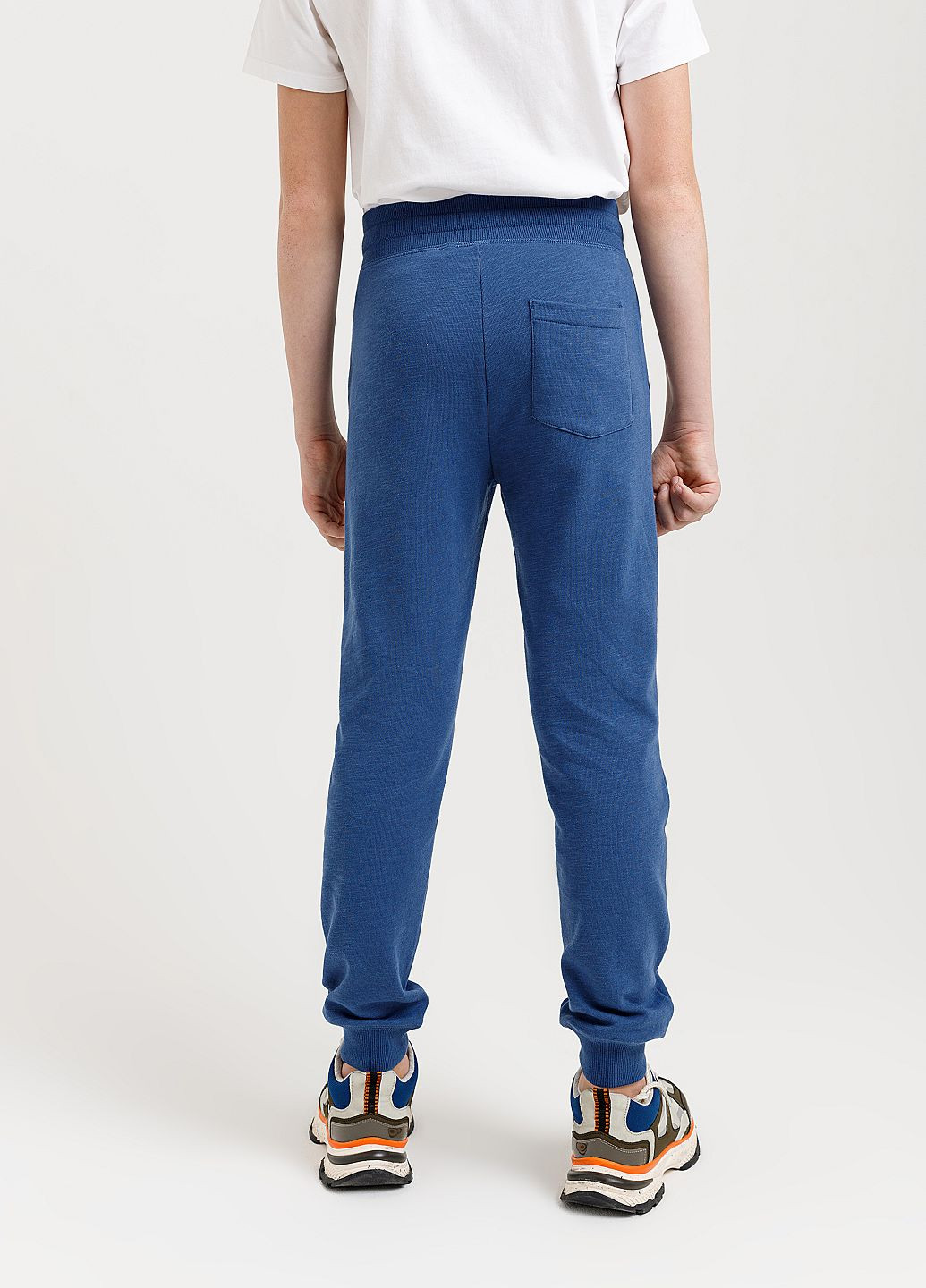 Синие спортивные демисезонные брюки джоггеры SELA