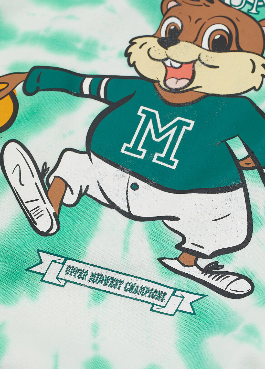 Комбінований світшот H&M малюнок без декору (304283768)