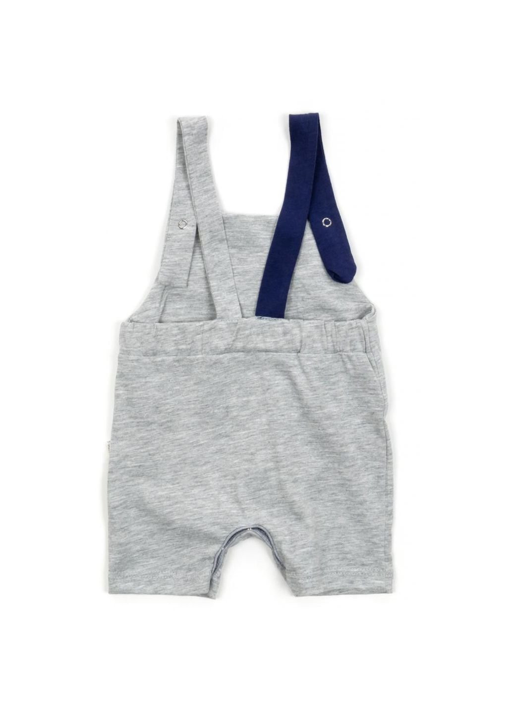 Сірий літній набір дитячого одягу з тигриком (2834-68b-gray) Tongs