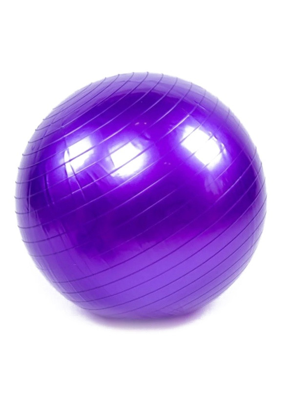 М'яч для фітнесу 65 см фіолетовий (фітбол, гімнастичний м'яч для вагітних) EF-65-V EasyFit (243205436)