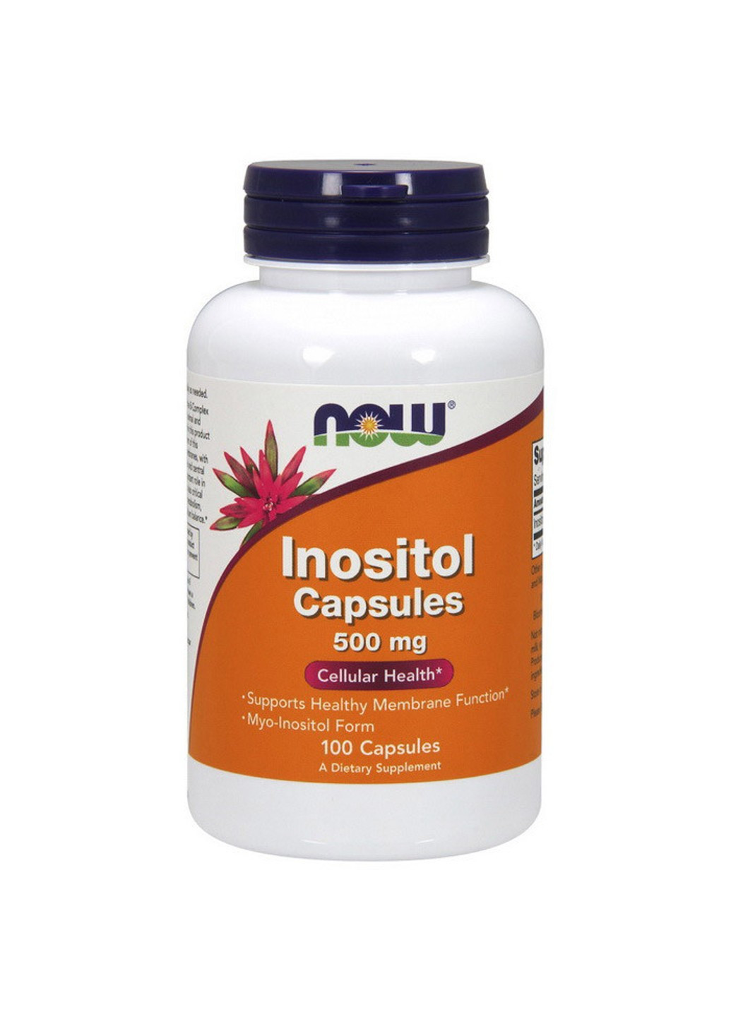 Инозитол Inositol 500 mg (100 капс) витамин б5 нау фудс Now Foods (255408612)