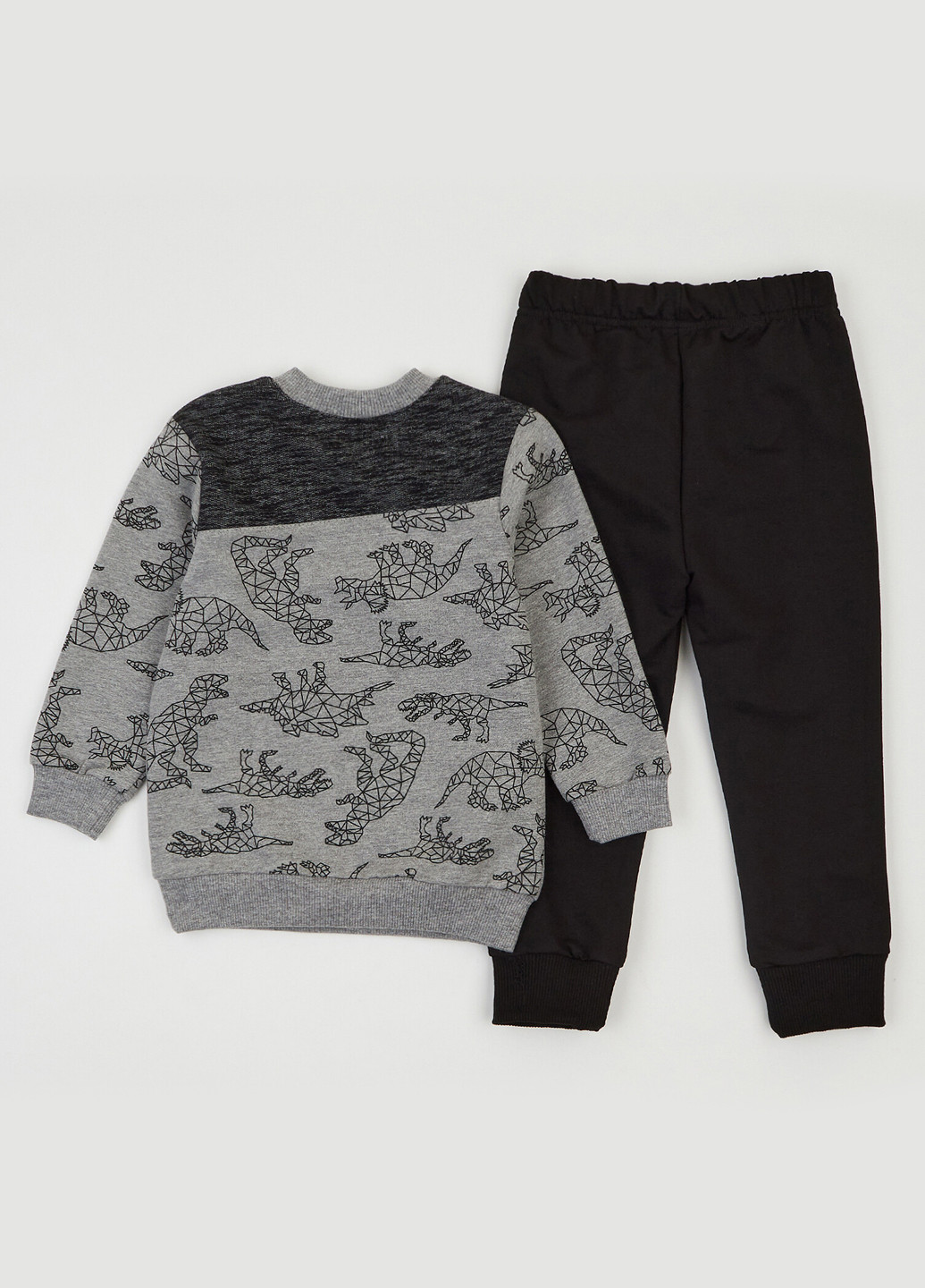 Серый демисезонный костюм (свитшот, брюки) брючный Ляля