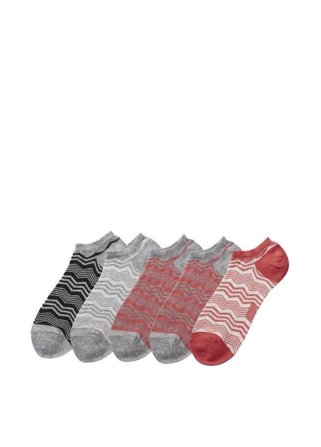Шкарпетки (5 пар) Esmara геометричні комбіновані повсякденні