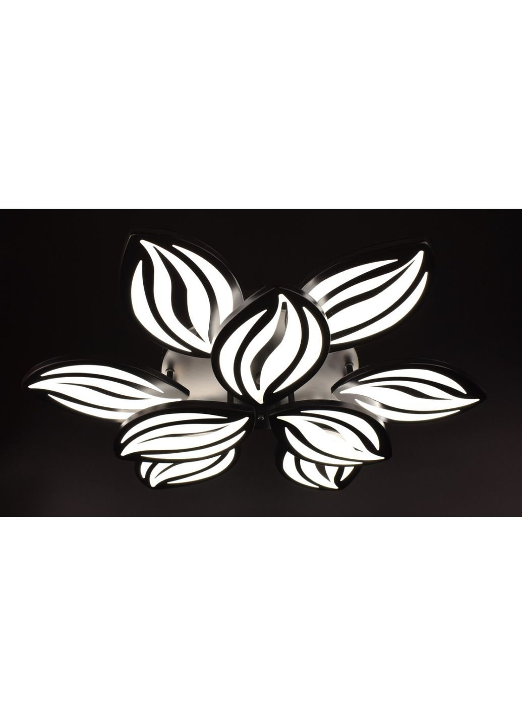 Люстра потолочная LED с пультом A2325/6+3-bk Черный 10х70х70 см. Sunnysky (253528126)