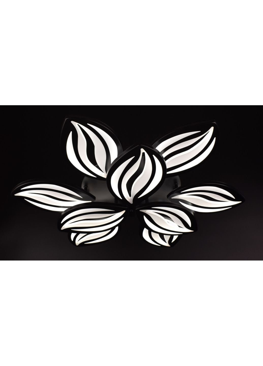 Люстра потолочная LED с пультом A2325/6+3-bk Черный 10х70х70 см. Sunnysky (253528126)