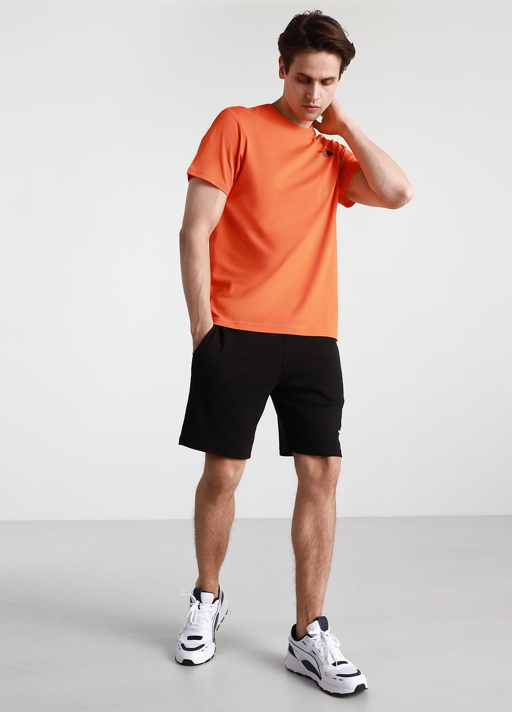 Шорти The North Face NF0A3S4FJK31 (330382816)