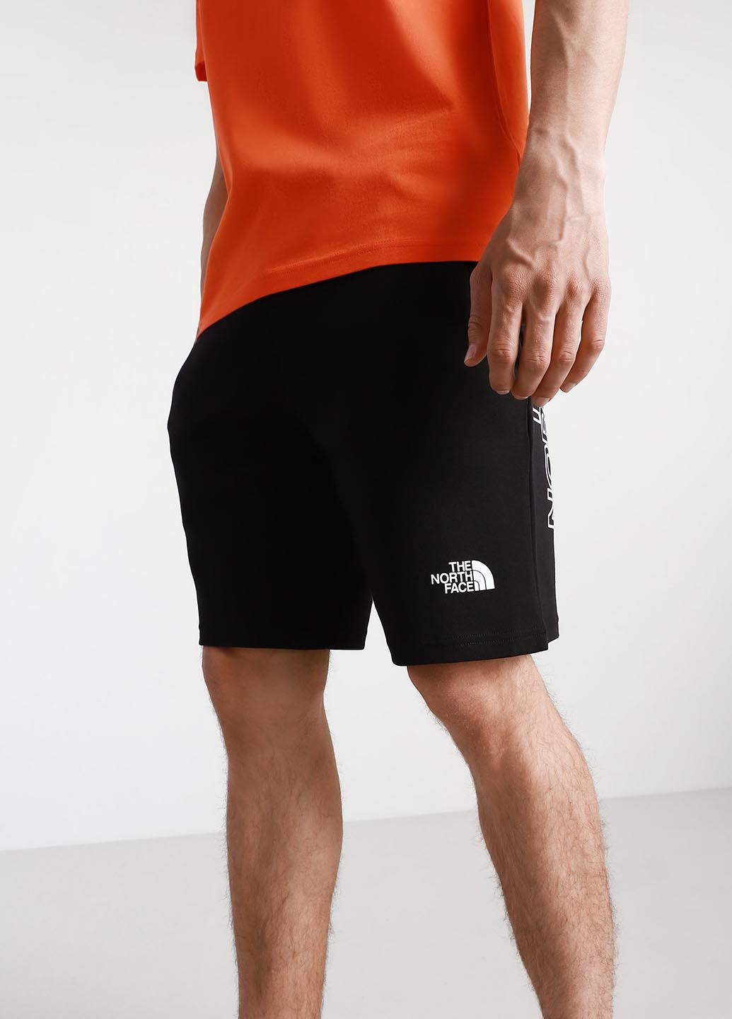 Шорти The North Face NF0A3S4FJK31 (330382816)