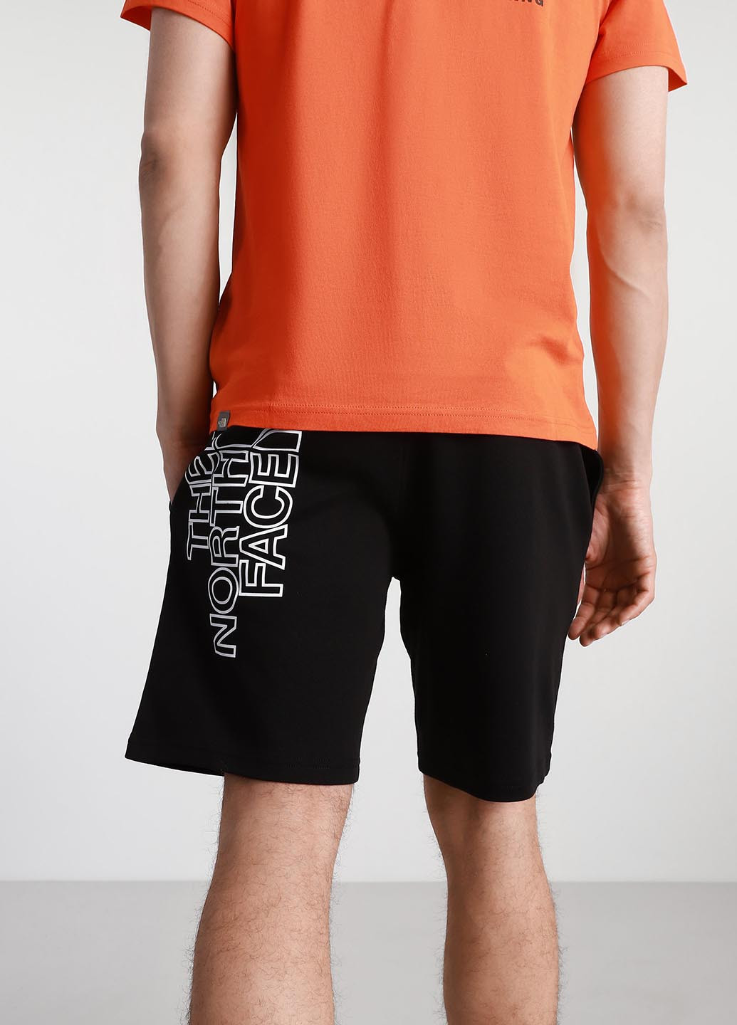 Шорти The North Face NF0A3S4FJK31 (330382816)