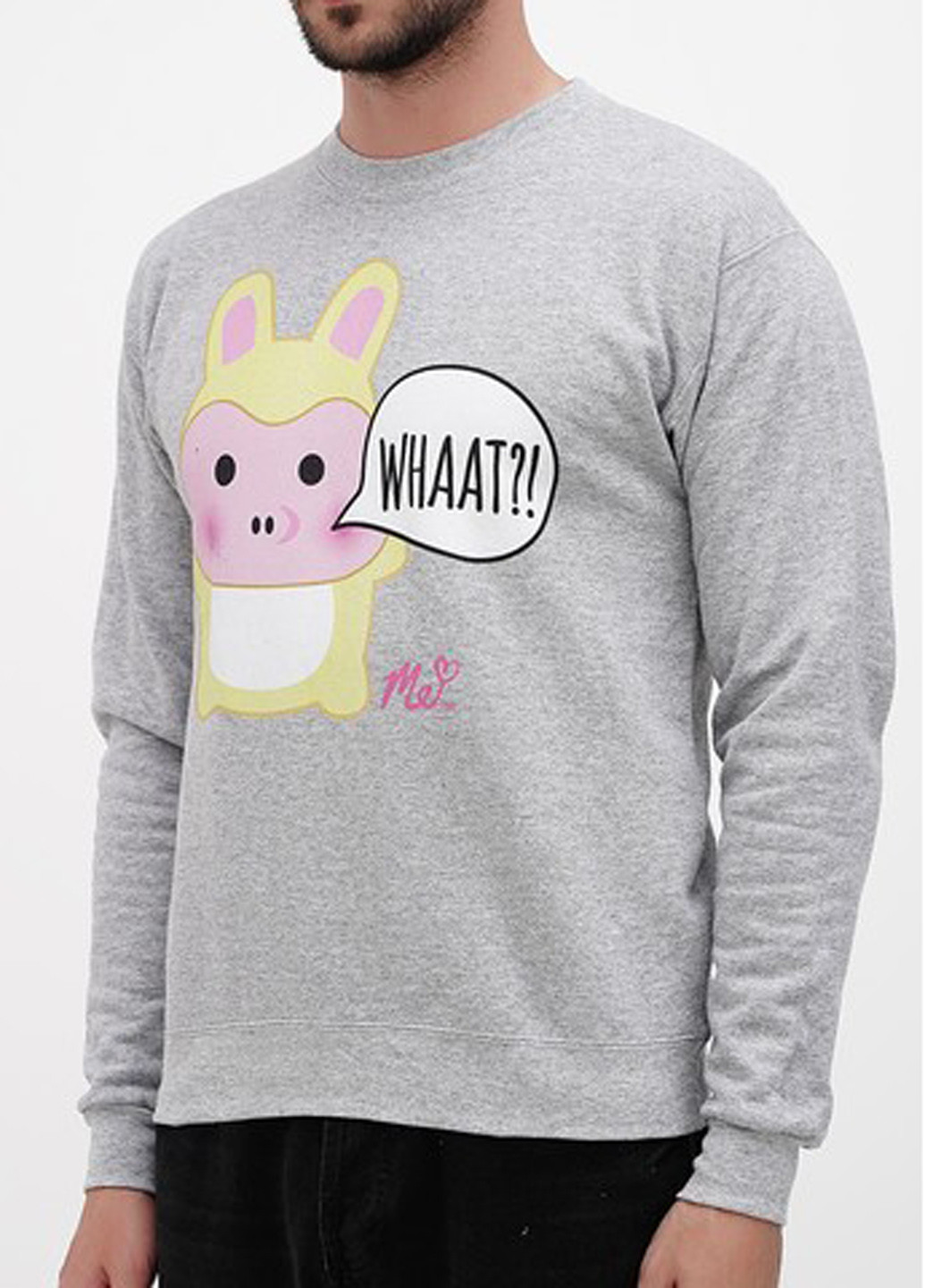 Светло-серый свитшот Hanes рисунок без декора (361960125)