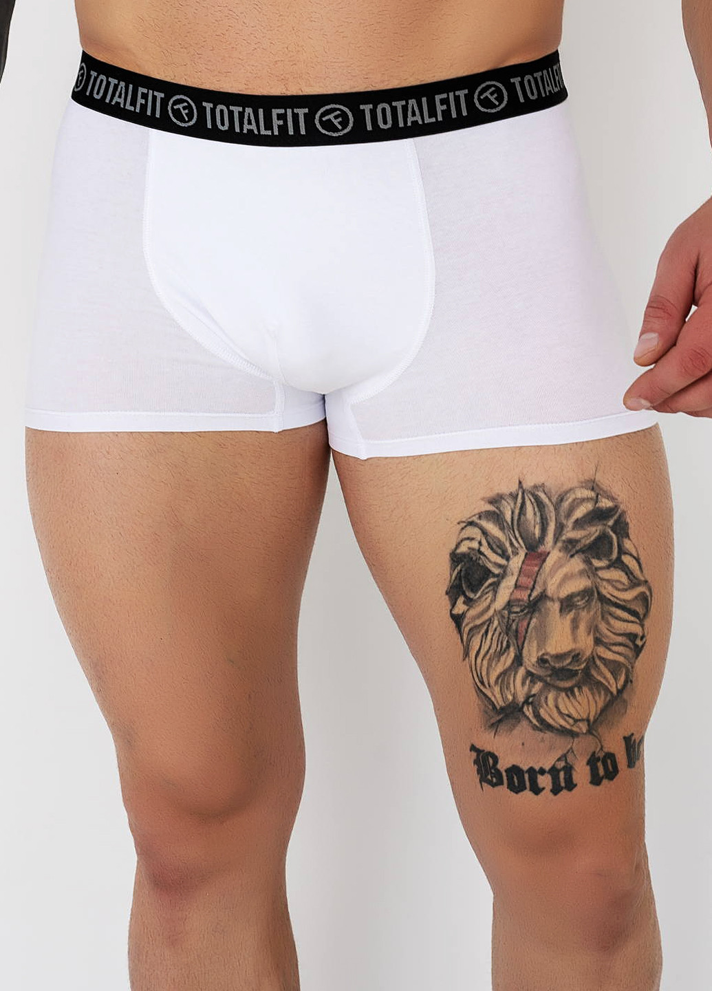 Труси TOTALFIT (305253188)