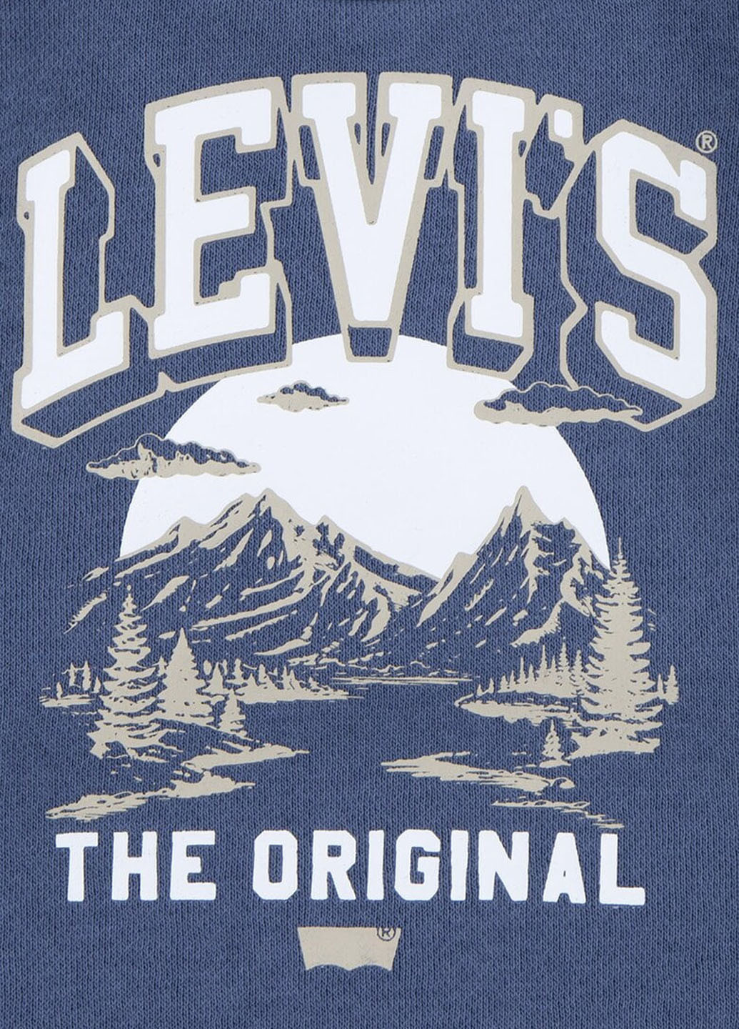 Сіро-синій демісезонний комплект (світшот, джинси) Levi's