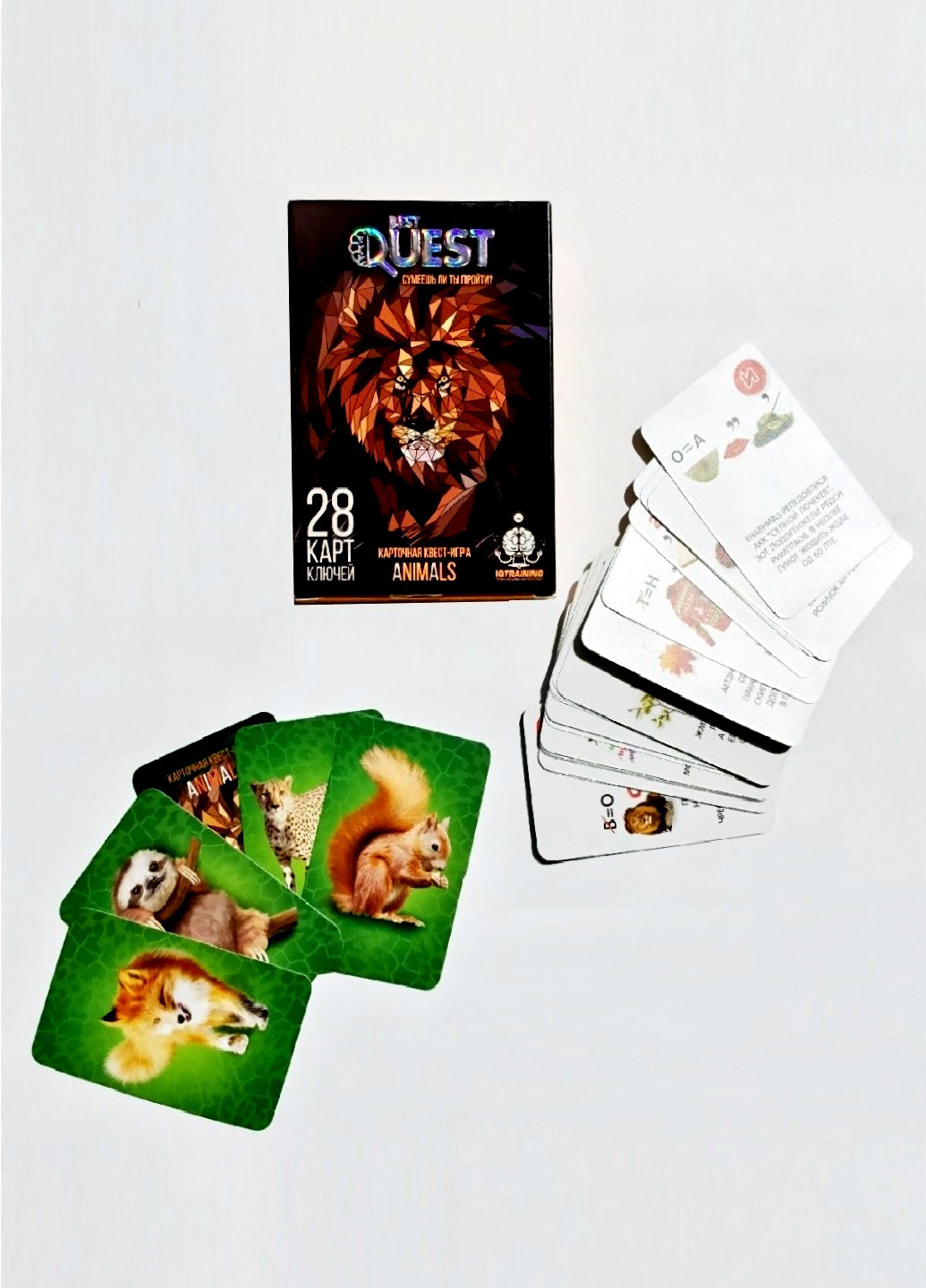 Настольная игра "Quest. Animals" Danko Toys (143948538)