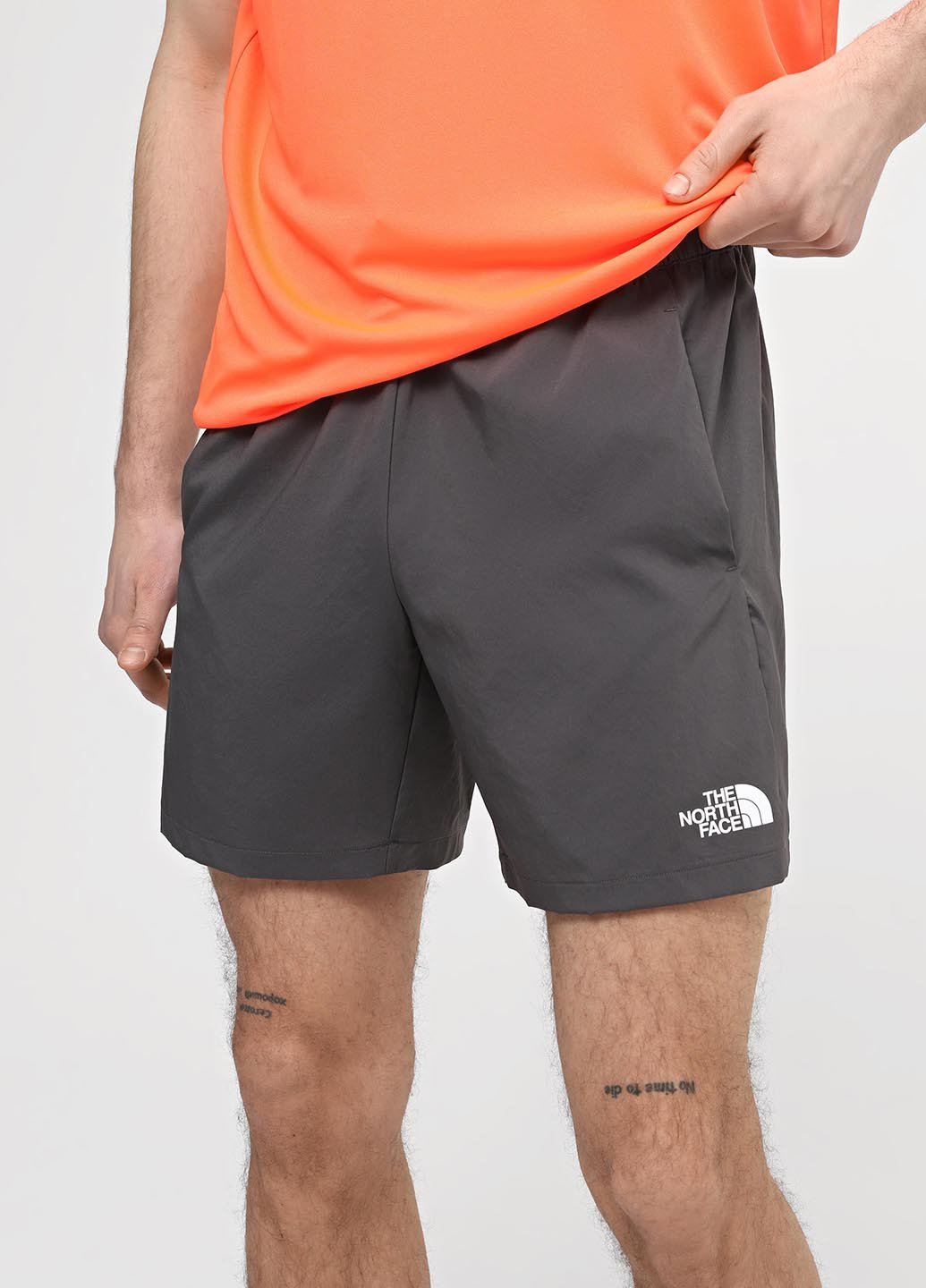 Шорты The North Face (330358825)